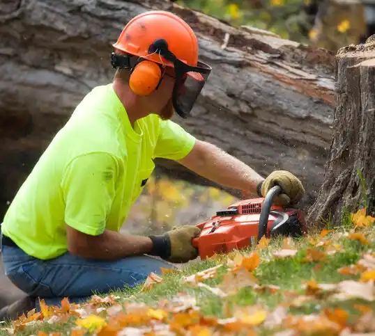 tree services Norfolk